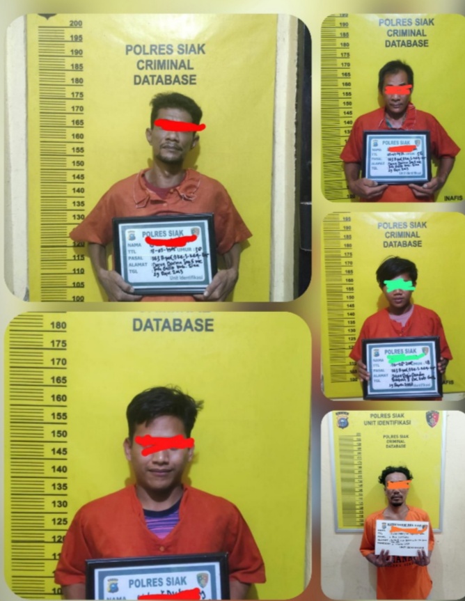 Polsek Koto Gasib Unit Opsnal Polres Siak Berhasil Menangkap Pelaku Pencurian dengan Pemberatan ini pelakunya